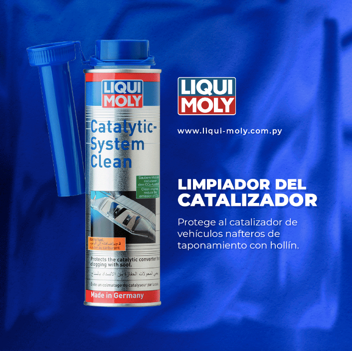 😍50 % DE DESCUENTO🔥Limpiador y catalizador⚙ instantáneo para Válvulas E inyectores de automóviles