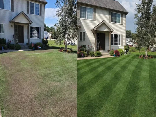 😱Hot Sale Green🤩Grass Lawn Spray💯